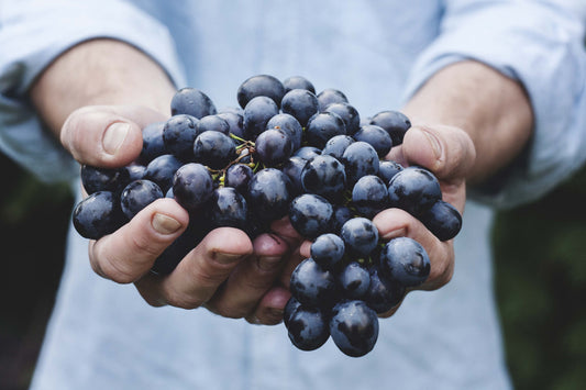 Farming StockImages